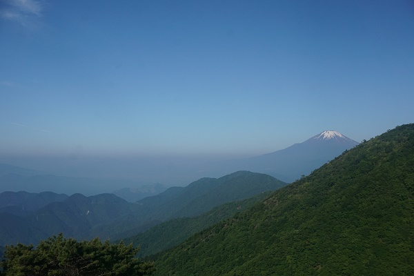 この日は天気よくまた朝が早かったので富士山もくっきり